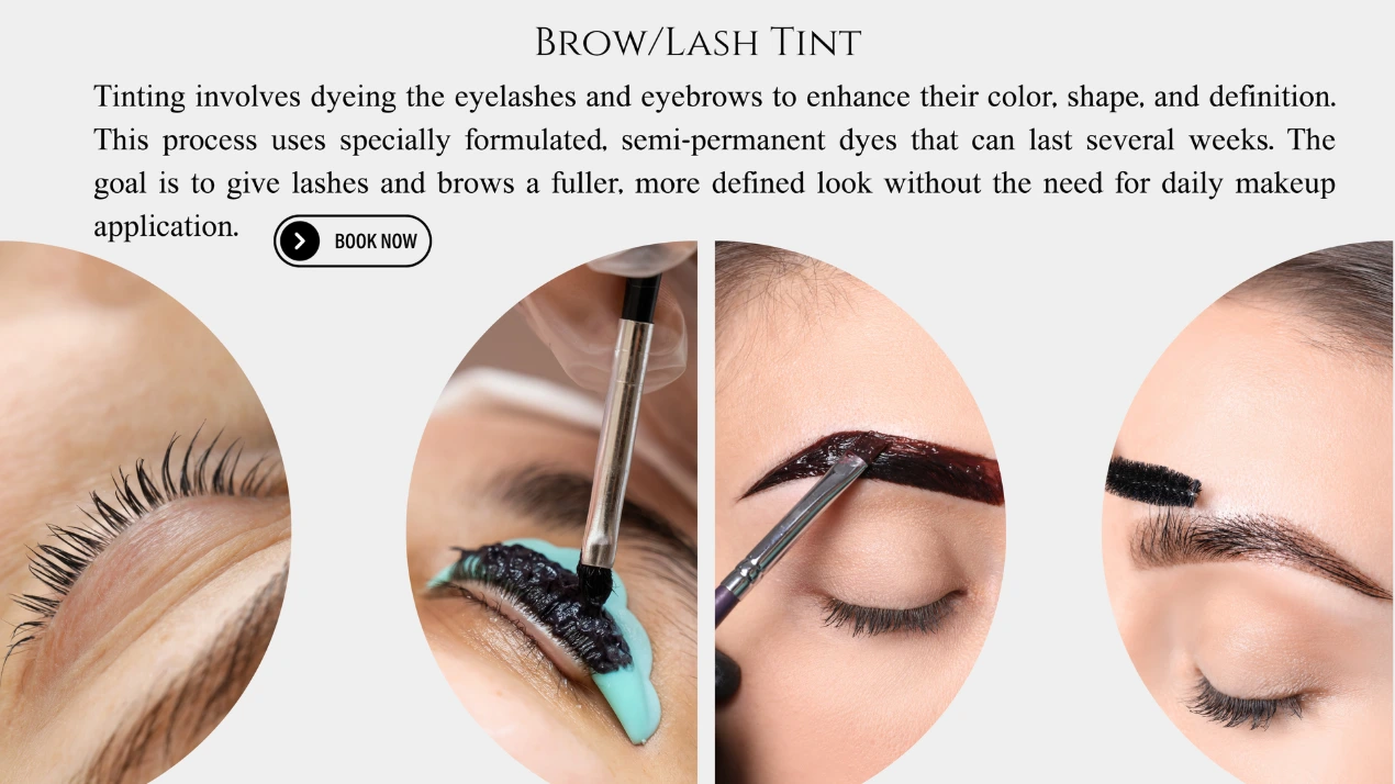 Brow and Lash Tint